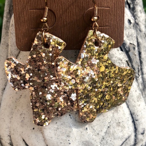 Jewelry - 🌵Texas Earrings🌵